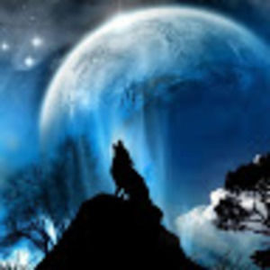 Meet your Posher, Dan